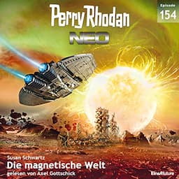 Die magnetische Welt