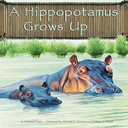 A Hippopotamus Grows Up