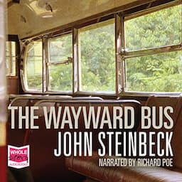 The Wayward Bus