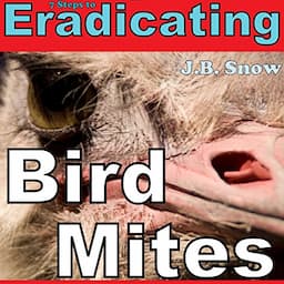 7 Steps to Eradicating Bird Mites