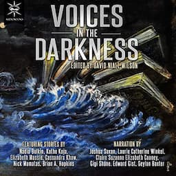 Voices in the Darkness