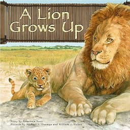 A Lion Grows Up