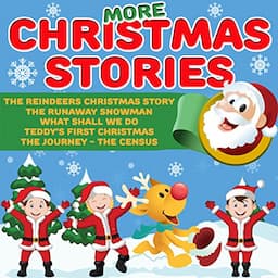 More Christmas Stories