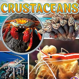 Crustaceans