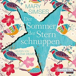 Der Sommer der Sternschnuppen