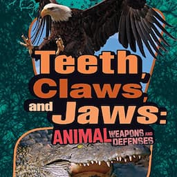 Teeth, Claws, and Jaws