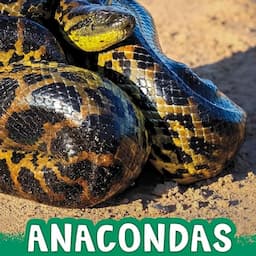 Anacondas