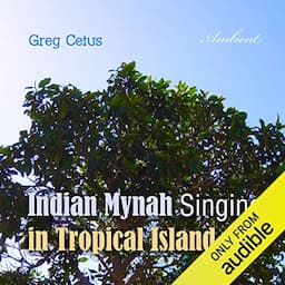 Indian Mynah Singing in Tropical Island