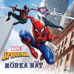 Spider-Man - M&ouml;rka n&auml;t