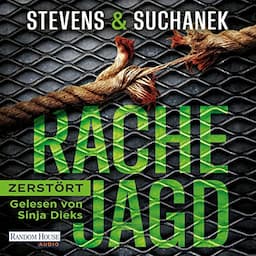 Rachejagd - Zerst&ouml;rt