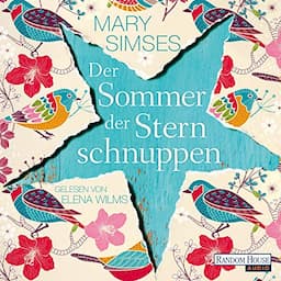 Der Sommer der Sternschnuppen