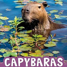 Capybaras