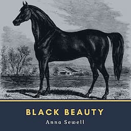 Black Beauty