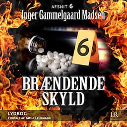 Br&aelig;ndende skyld 6