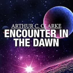 Encounter in the Dawn