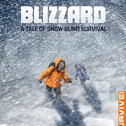 Blizzard