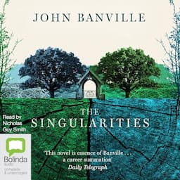 The Singularities