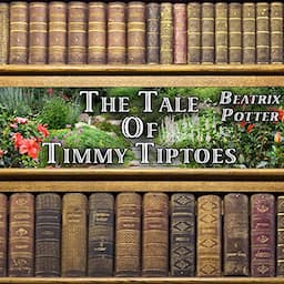 The Tale of Timmy Tiptoes