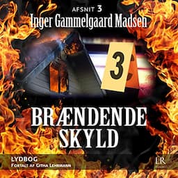 Br&aelig;ndende skyld 3