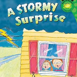 A Stormy Surprise