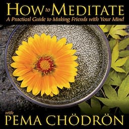 How to Meditate with Pema Chodron