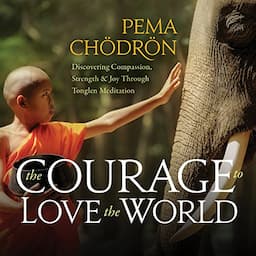 The Courage to Love the World