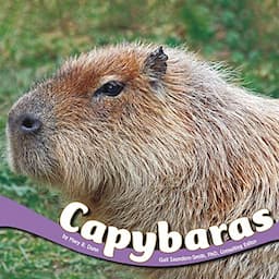 Capybaras