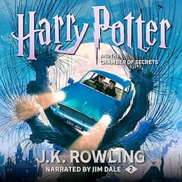 Harry Potter and the Chamber of Secrets, Book 2