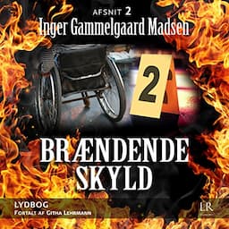 Br&aelig;ndende skyld 2