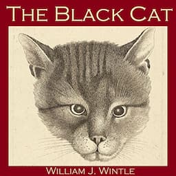 The Black Cat