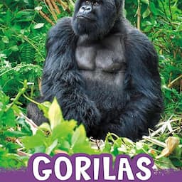 Gorillas