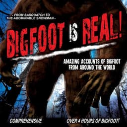 Bigfoot Is Real!