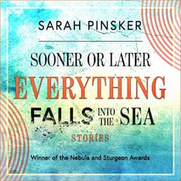 Sooner or Later Everything Falls into the Sea