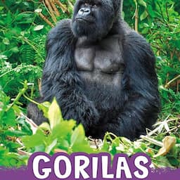 Gorilas [Gorillas]