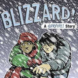 Blizzard!