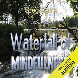 Waterfall of Mindfulness