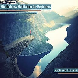 Mindfulness Meditation for Beginners: Increase Inner Peace with Guided Meditation and Guided Imagery