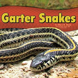 Garter Snakes