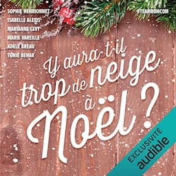 Y aura-t-il trop de neige &agrave; No&euml;l ?