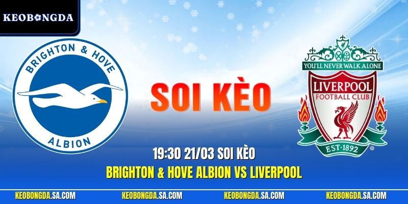 Brighton & Hove Albion vs Liverpool